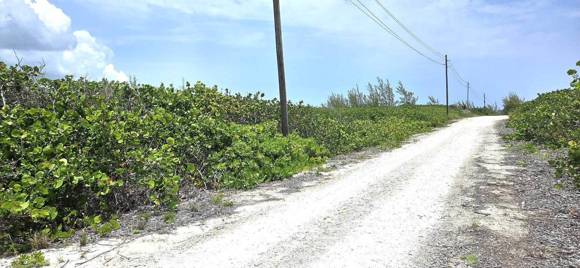 /listing-north-eleuthera-lot-for-sale-76950.html from Coldwell Banker Bahamas Real Estate