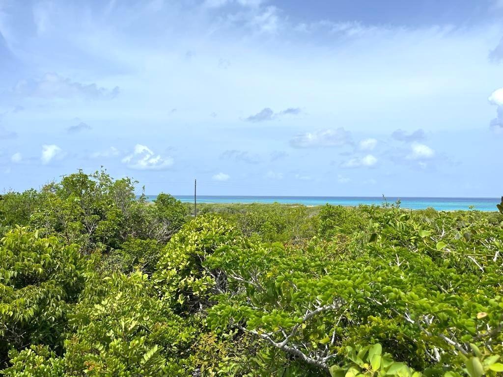 /listing-san-salvador-lot-for-sale-77202.html from Coldwell Banker Bahamas Real Estate