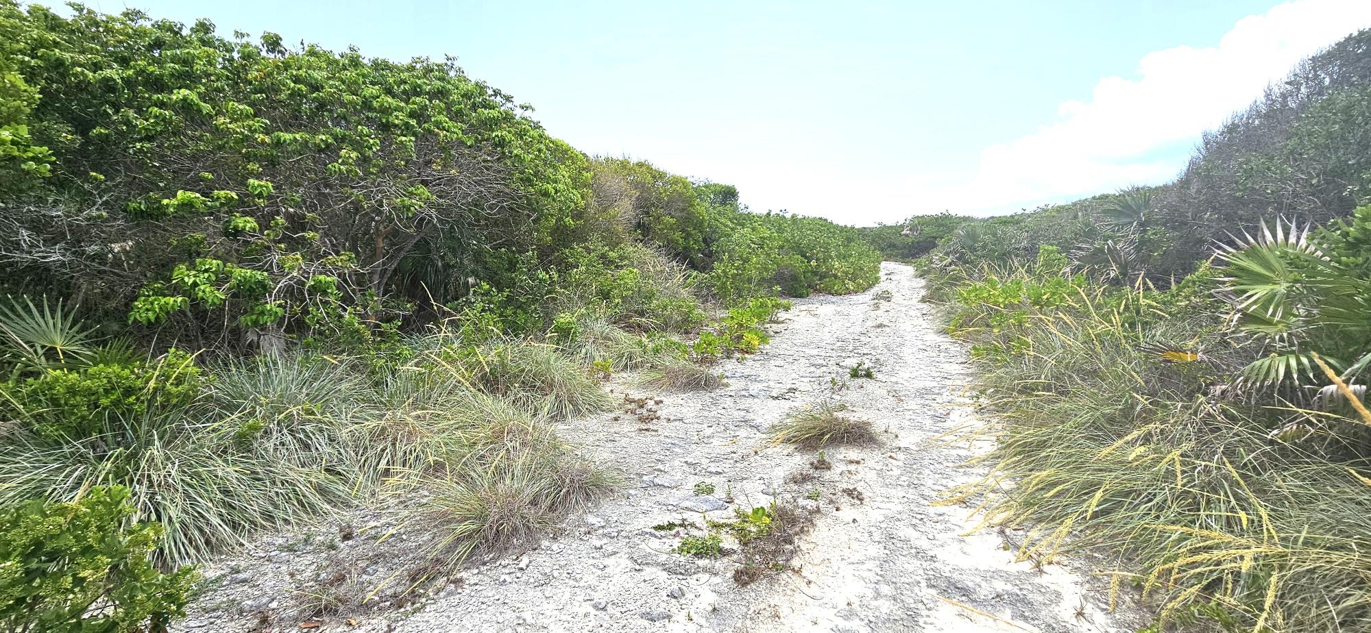 /listing-north-eleuthera-lot-for-sale-77204.html from Coldwell Banker Bahamas Real Estate