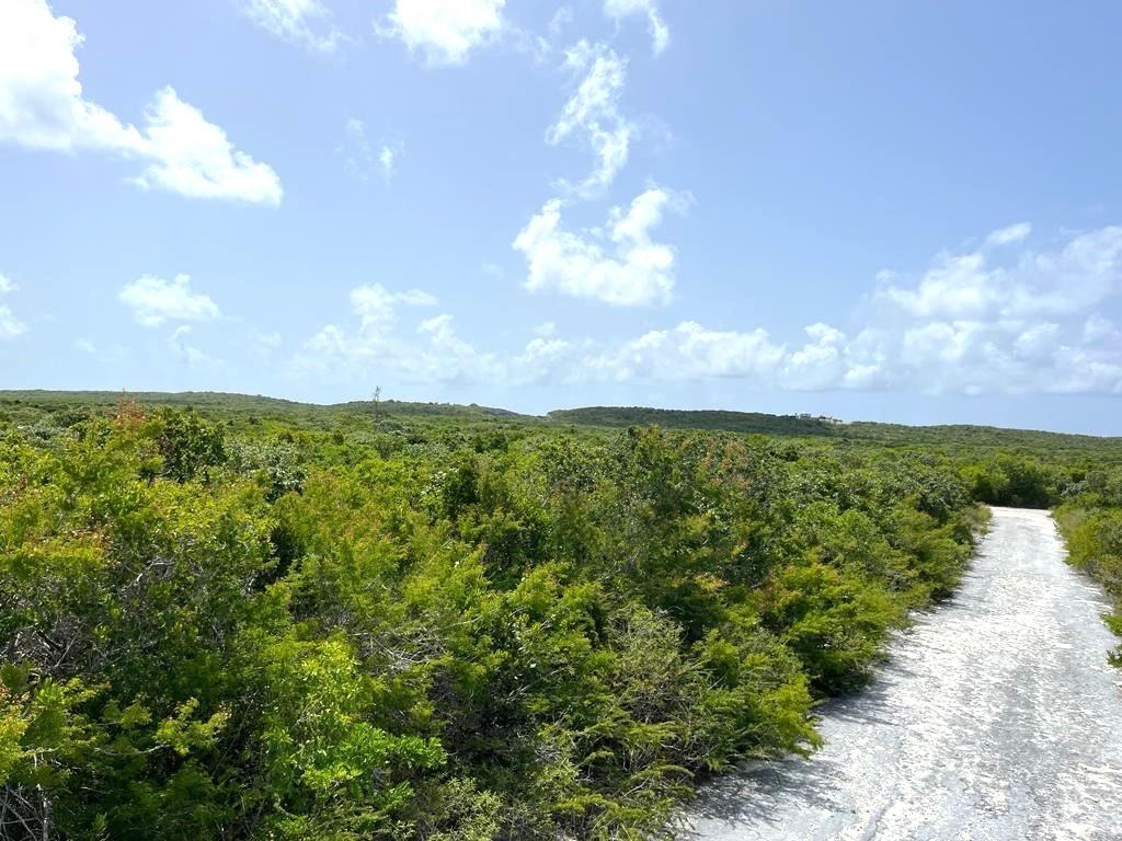 /listing-san-salvador-vacant-lot-for-sale-77205.html from Coldwell Banker Bahamas Real Estate