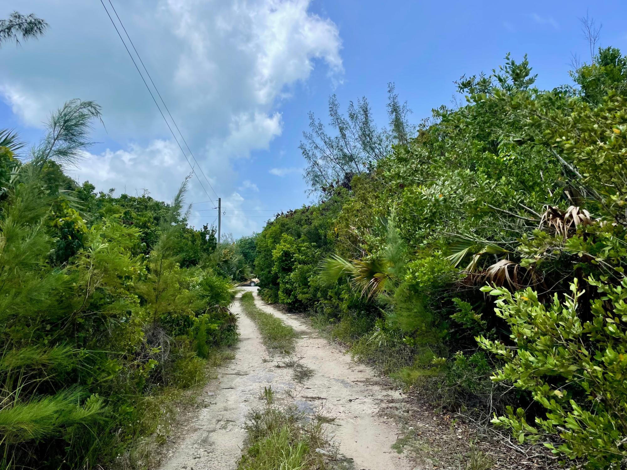 /listing-north-eleuthera-lot-for-sale-77258.html from Coldwell Banker Bahamas Real Estate