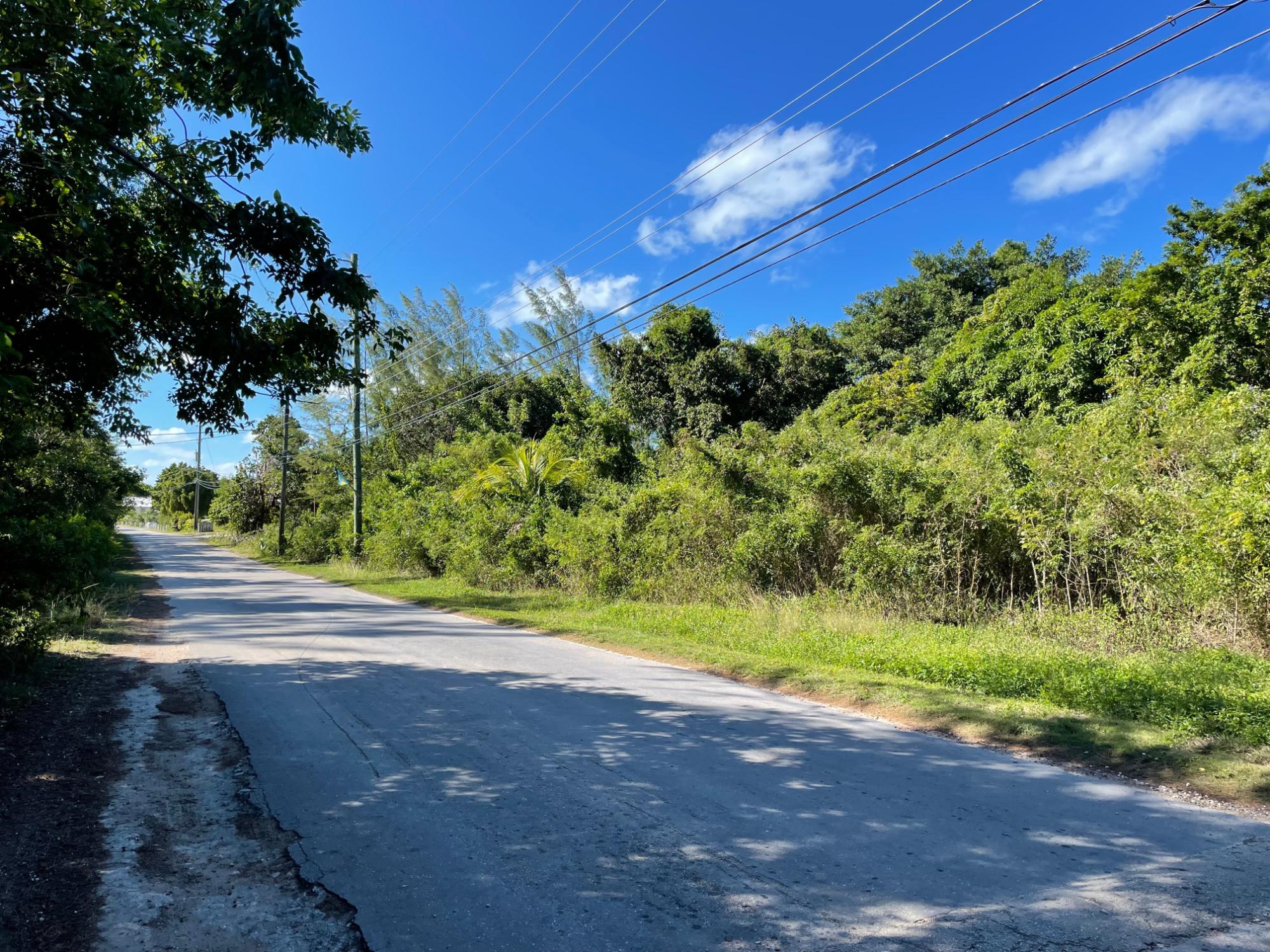 /listing-north-eleuthera-vacant-lot-77303.html from Coldwell Banker Bahamas Real Estate