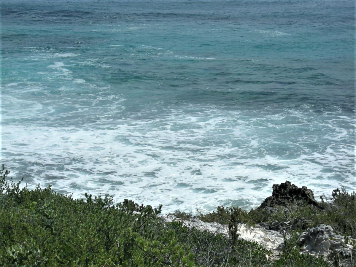 /listing-long-island-oceanfront-lot-77621.html from Coldwell Banker Bahamas Real Estate