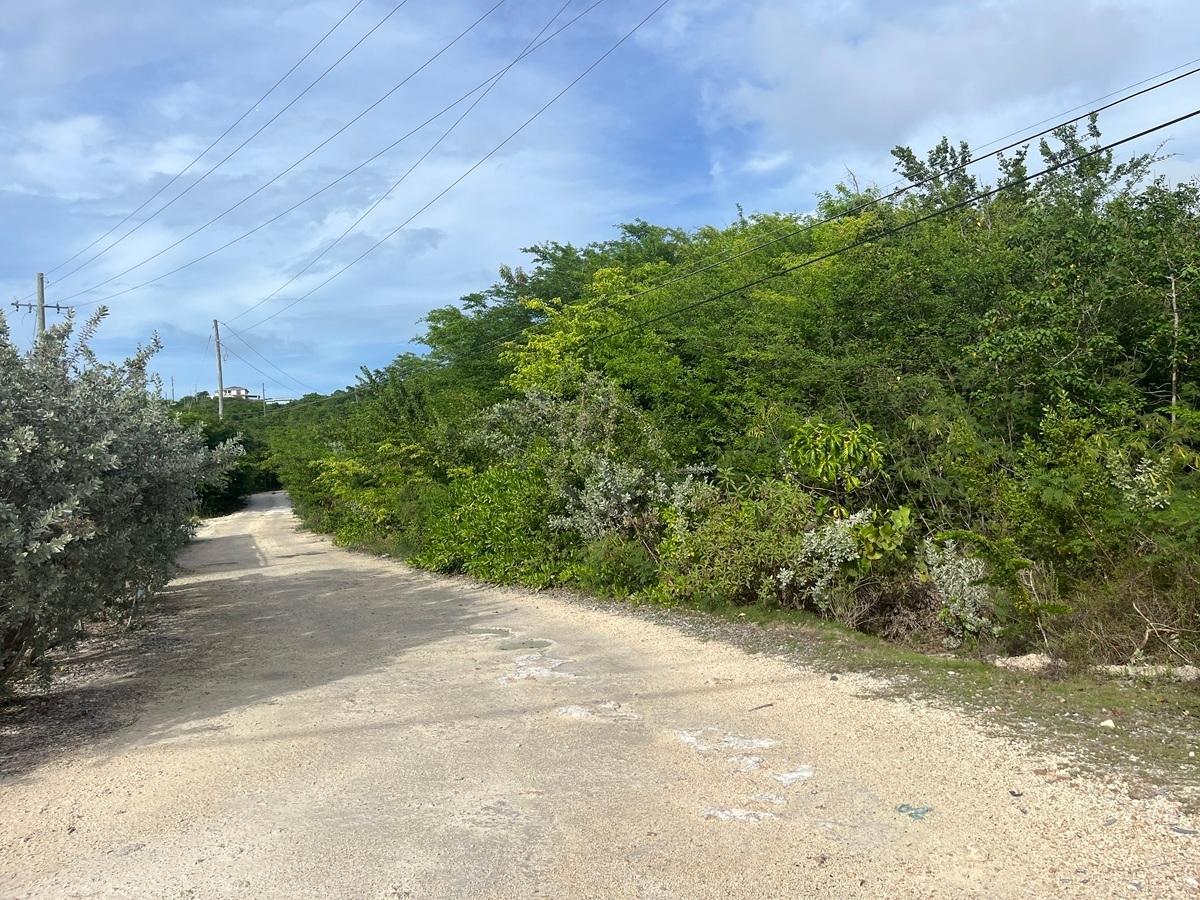 /listing-long-island-lot-for-sale-77622.html from Coldwell Banker Bahamas Real Estate