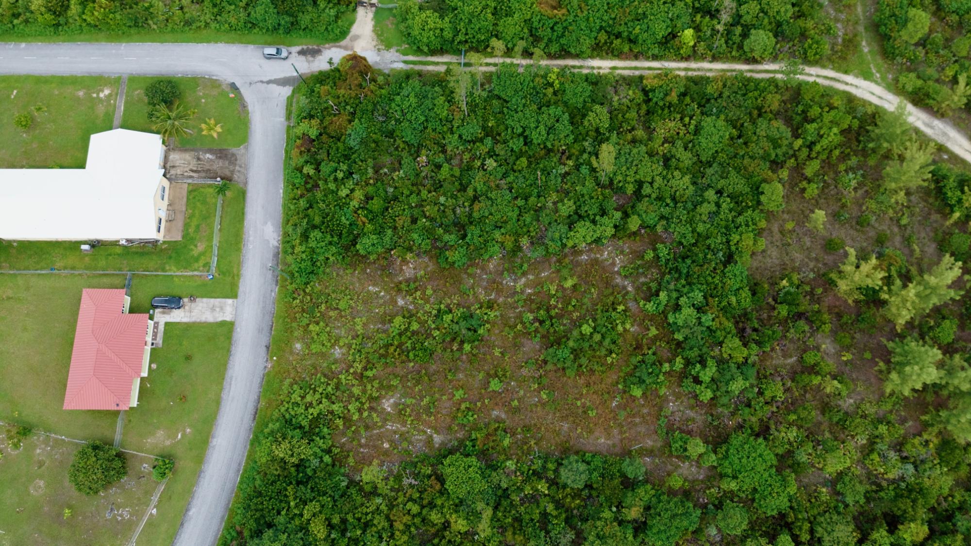 /listing-grand-bahama-lot-for-sale-77719.html from Coldwell Banker Bahamas Real Estate
