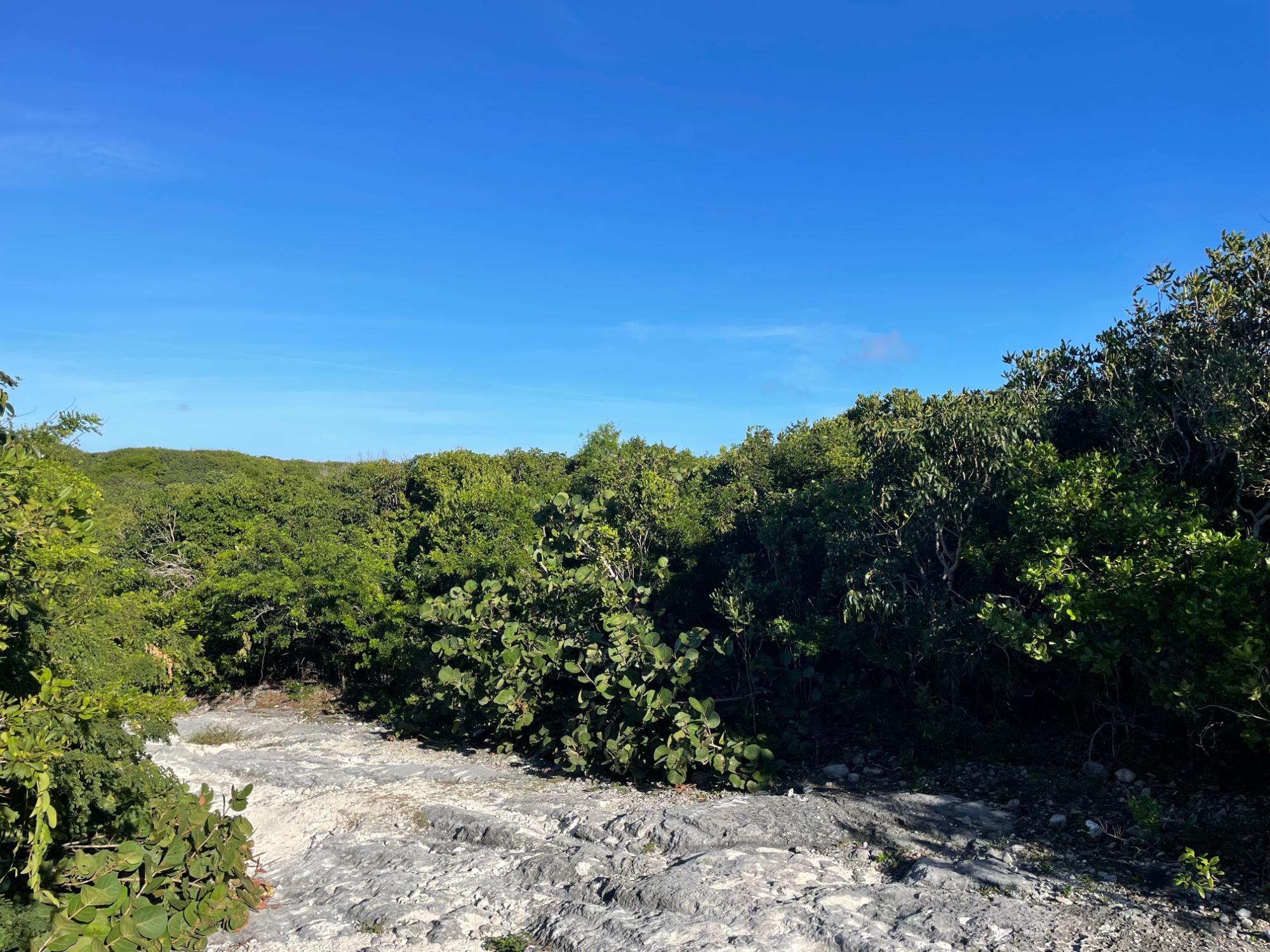 eleuthera island shores lot