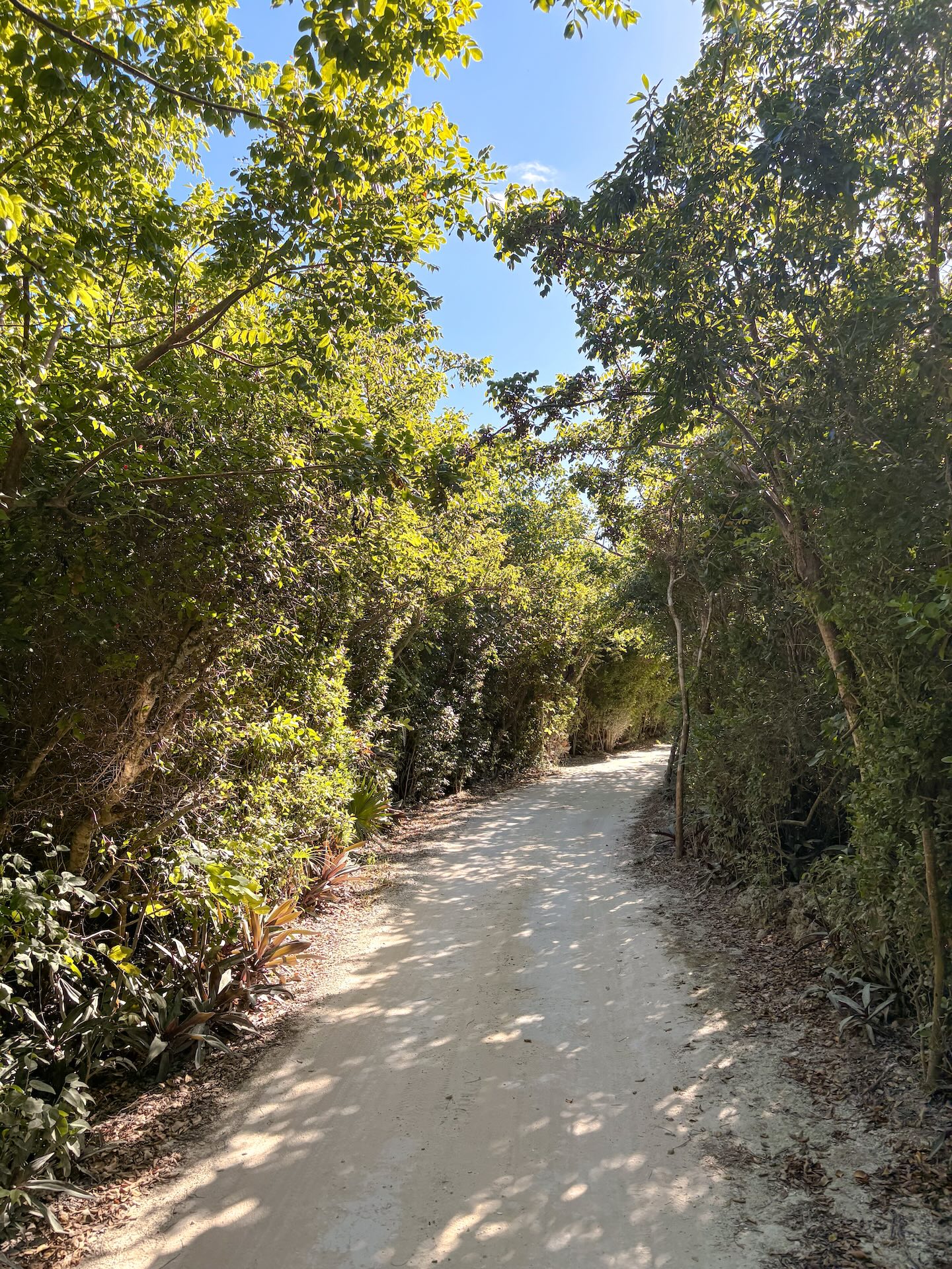 /listing-abaco-vacant-lot-for-sale-79082.html from Coldwell Banker Bahamas Real Estate