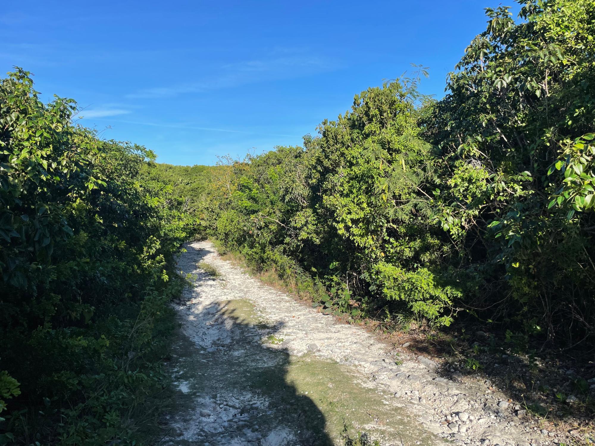 eleuthera island shores lot