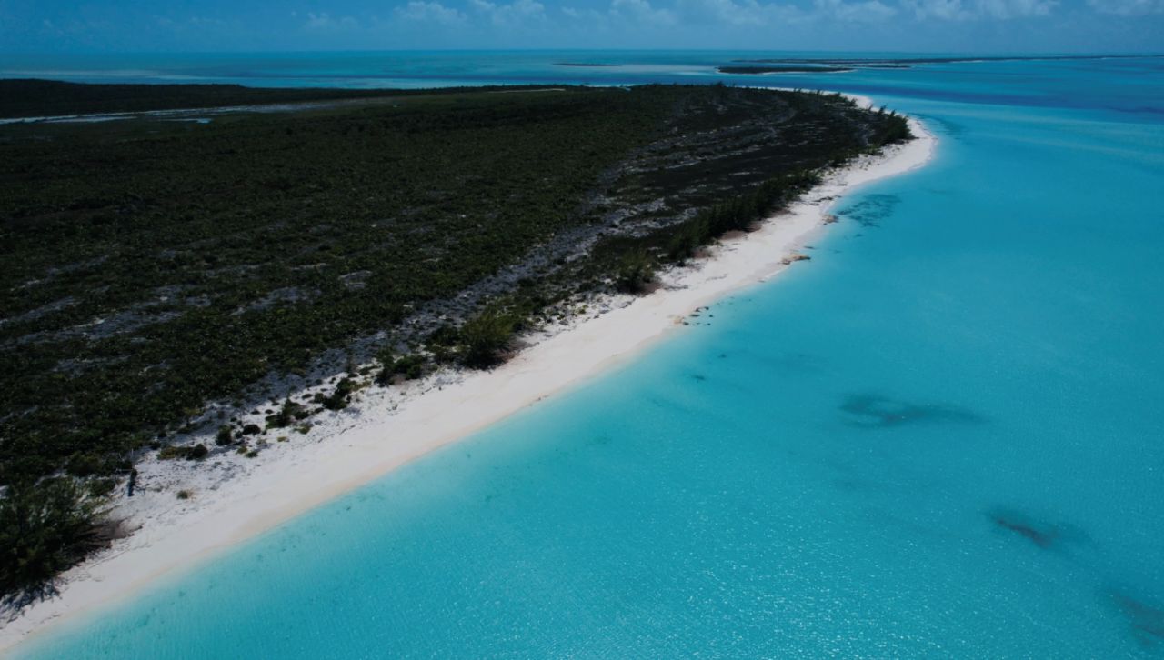 /listing-sold-crooked-island-beach-front-lot-79518.html from Coldwell Banker Bahamas Real Estate