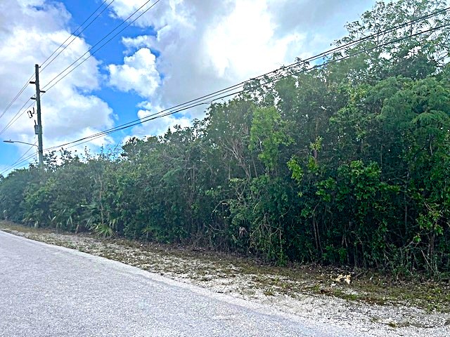 /listing-long-island-acreage-79923.html from Coldwell Banker Bahamas Real Estate