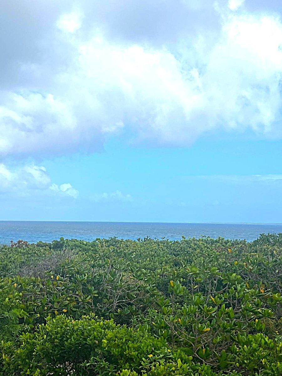 /listing-long-island-lot-with-ocean-views-80505.html from Coldwell Banker Bahamas Real Estate