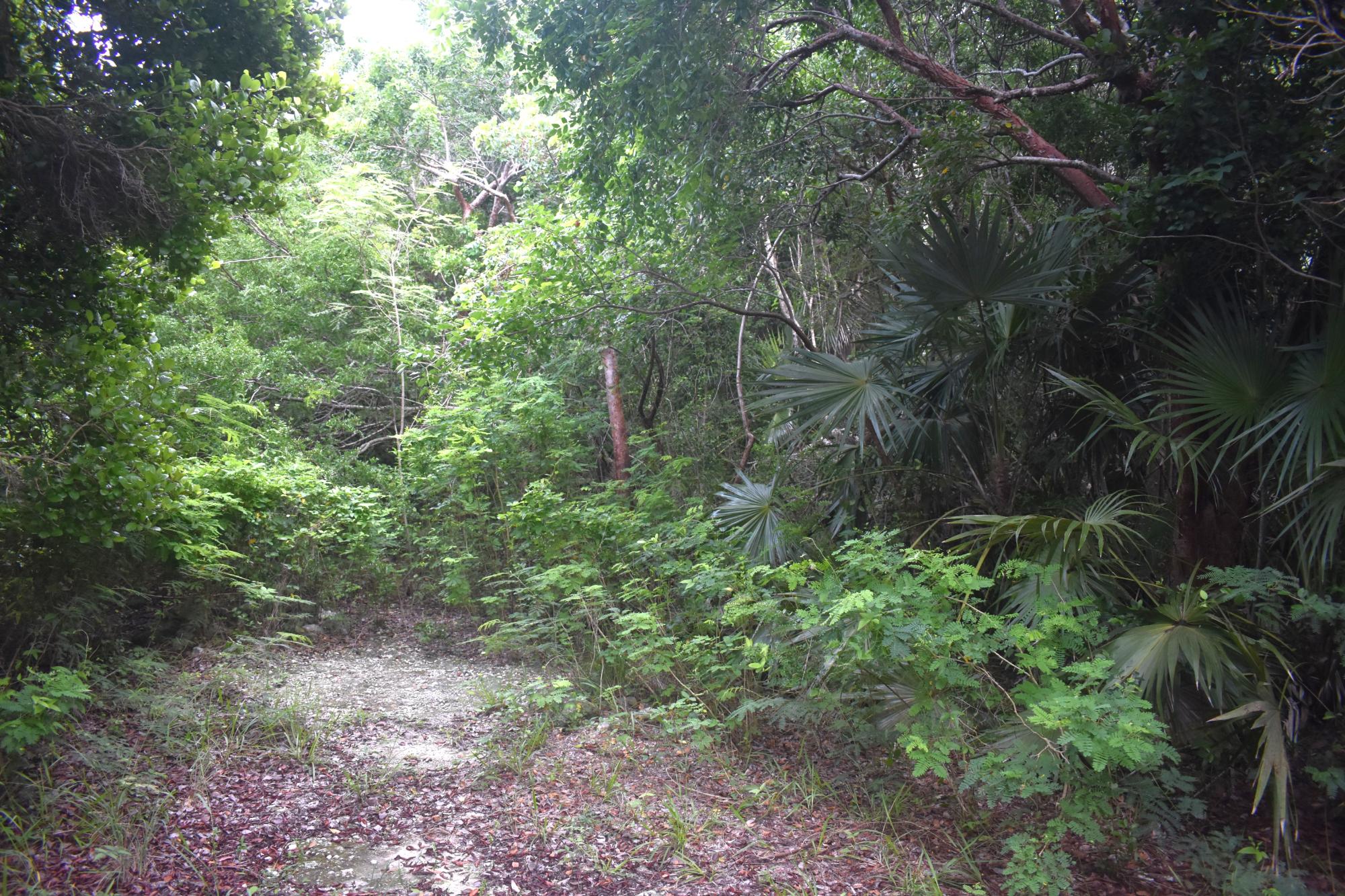 eleuthera island shores lot