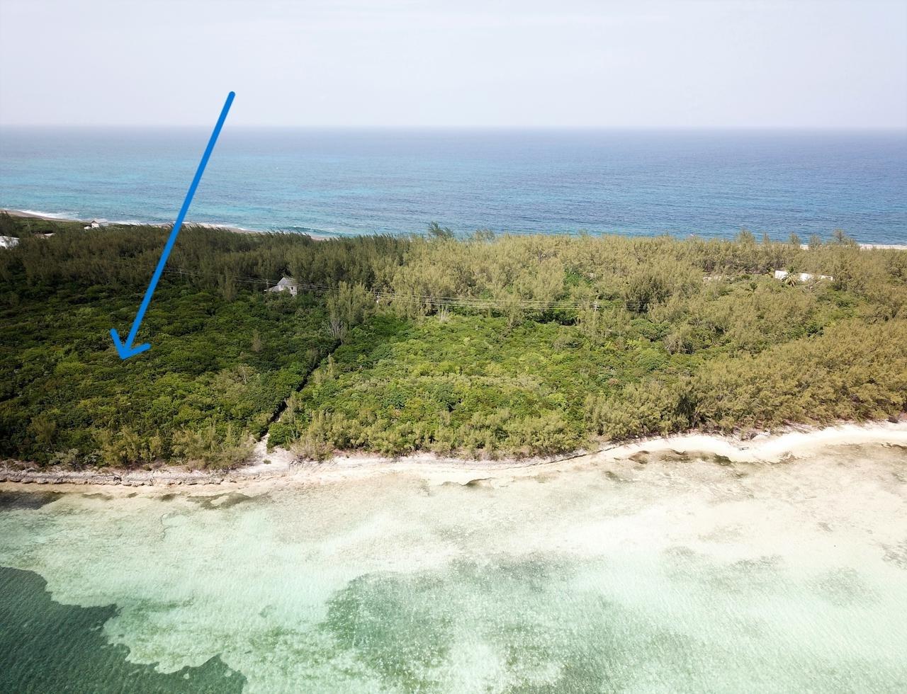 /listing-north-eleuthera-waterfront-lot-for-sale-81116.html from Coldwell Banker Bahamas Real Estate