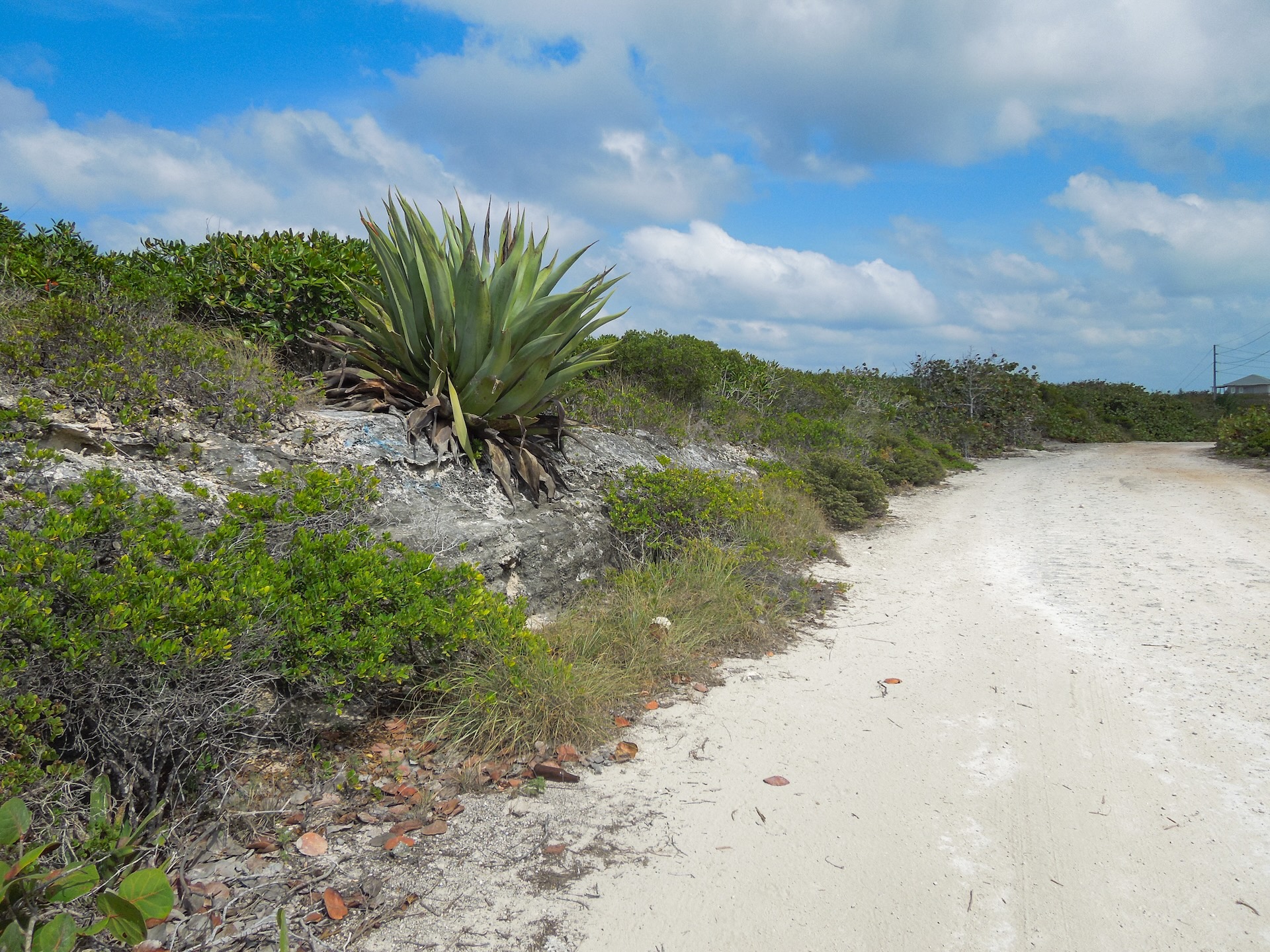 whale-point-estates-oceanview-vacant-lot