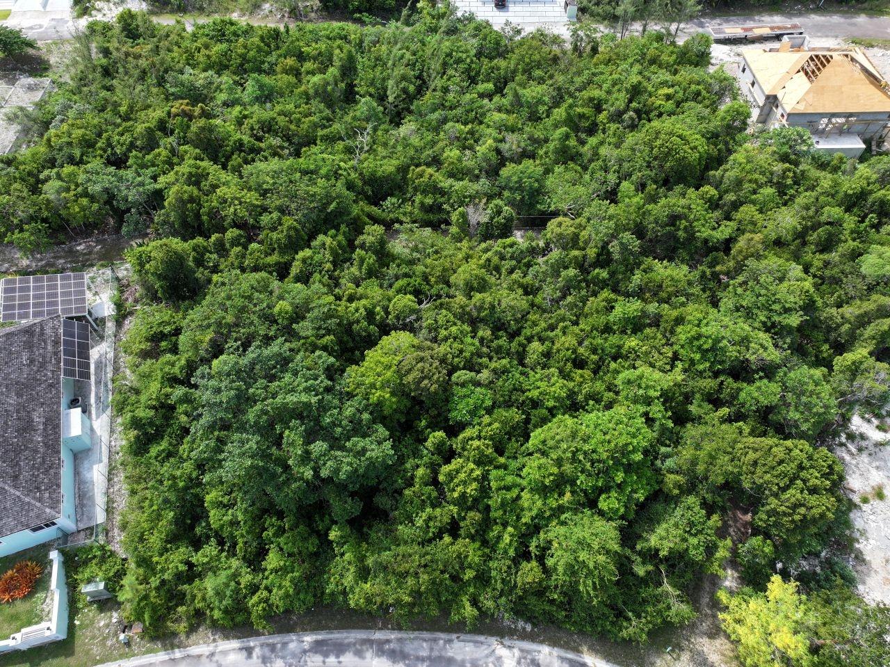 /listing-western-nassau-lot-for-sale-81251.html from Coldwell Banker Bahamas Real Estate