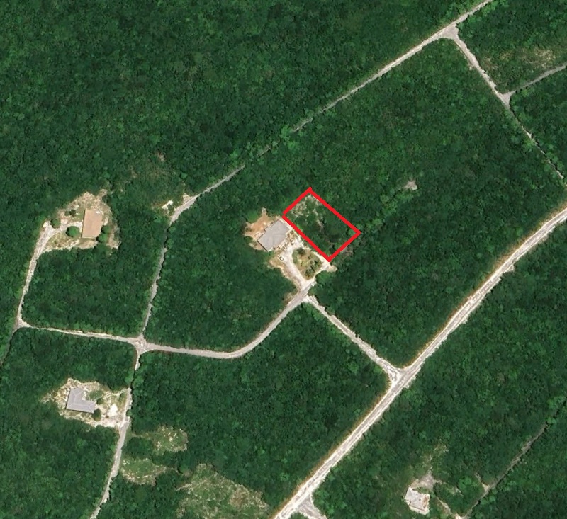 /listing-elevated-hill-side-property-81818.html from Coldwell Banker Bahamas Real Estate