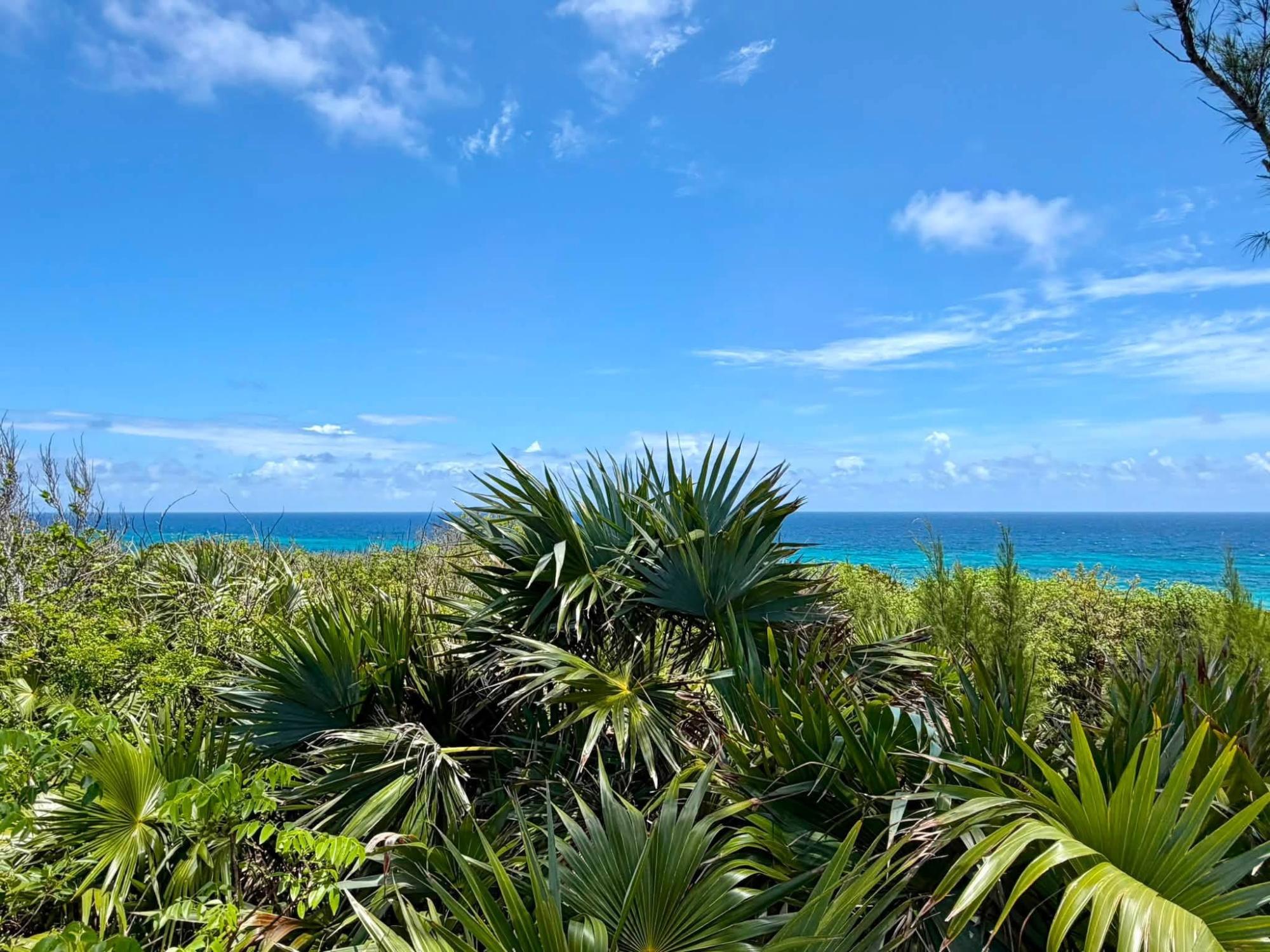holiday-beach-ocean-view -lot