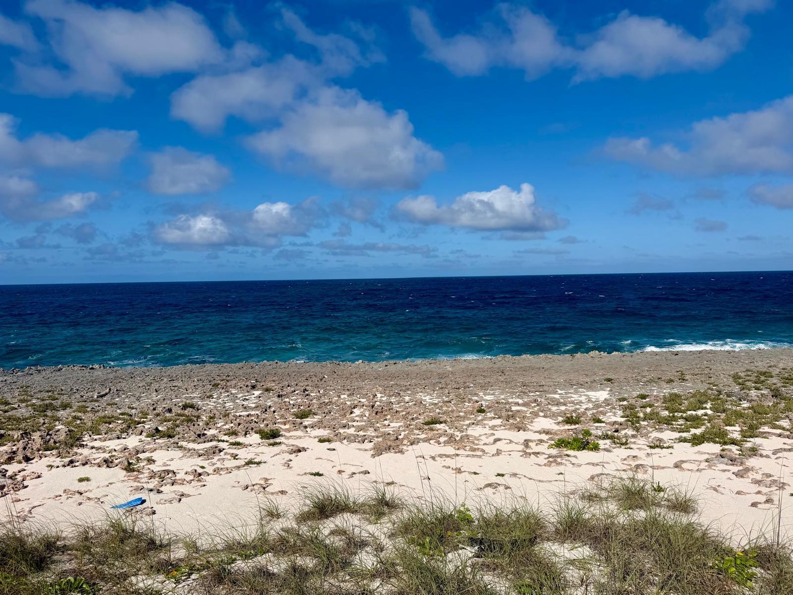 /listing-north-eleuthera-waterfront-lot-81894.html from Coldwell Banker Bahamas Real Estate