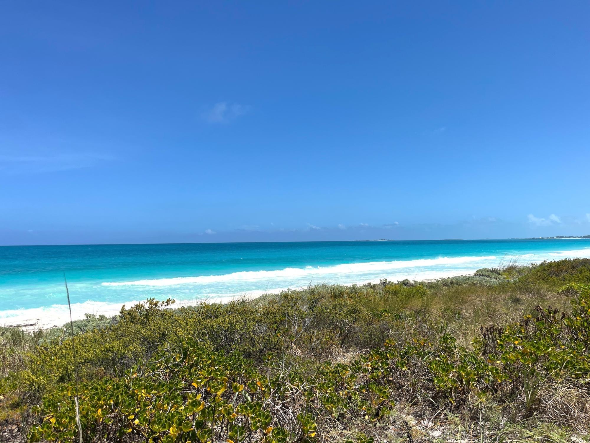/listing-great-harbour-cay-beach-front-acreage-81917.html from Coldwell Banker Bahamas Real Estate