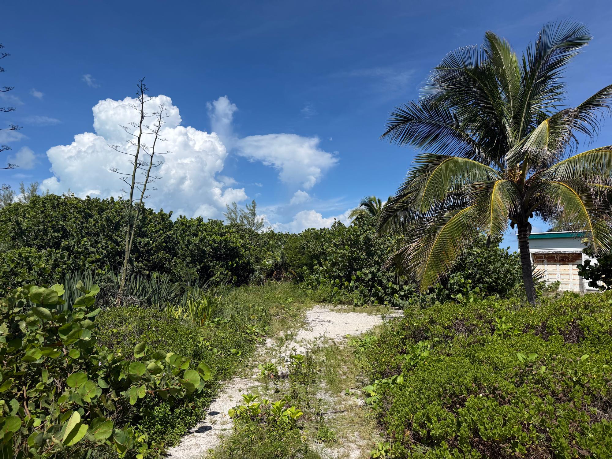 holiday-beach-ocean-view -lot