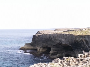 /listing-dynamic-cliff-lot-at-whale-point-850.html from Coldwell Banker Bahamas Real Estate