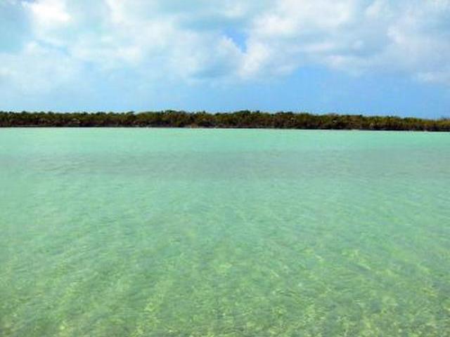 /listing-lots-acreage-in-other-cat-island-68328.html from Coldwell Banker Bahamas Real Estate
