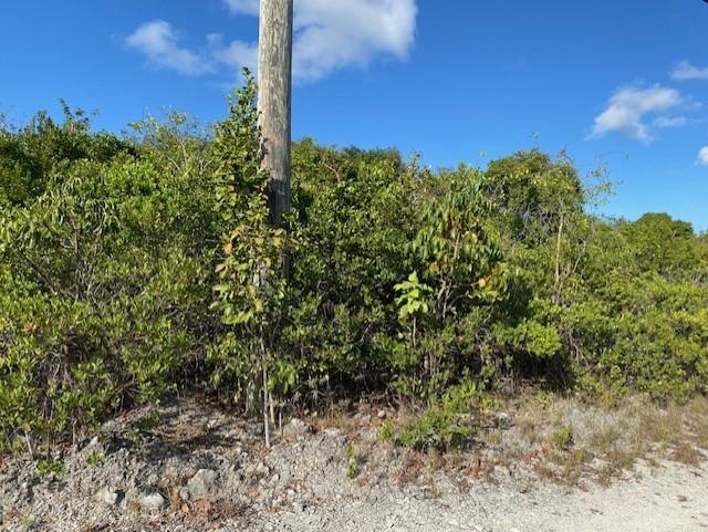 /listing-lots-acreage-in-other-cat-island-68066.html from Coldwell Banker Bahamas Real Estate