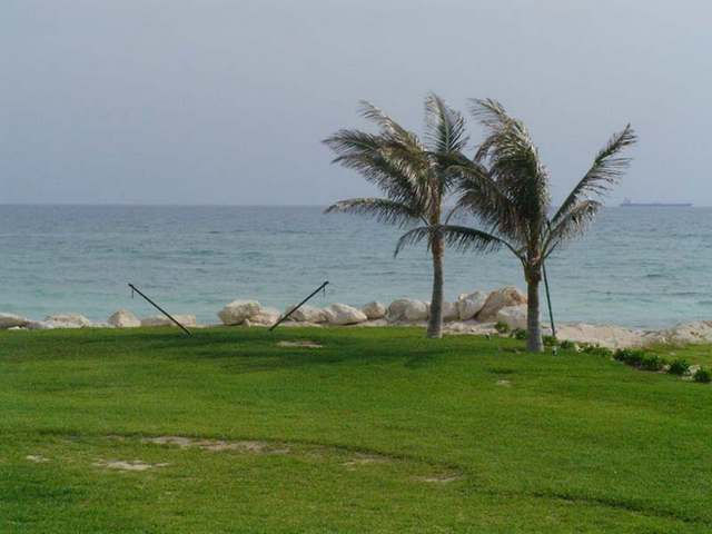 grand isle divorced singles Grand isle real estate, grand isle camps for sale, grand isle properties, grand isle rentals, grand isle realty, grand isle beachfront camps, grand isle land for sale, grand isle waterfront. grand isle divorced singles Grand isle real estate, grand isle camps for sale, grand isle properties, grand isle rentals, grand isle realty, grand isle beachfront camps, grand isle land for sale, grand isle waterfront.