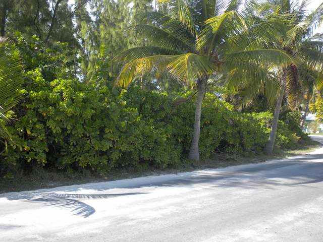 /listing-lots-acreage-in-treasure-cay-42415.html from Coldwell Banker Bahamas Real Estate