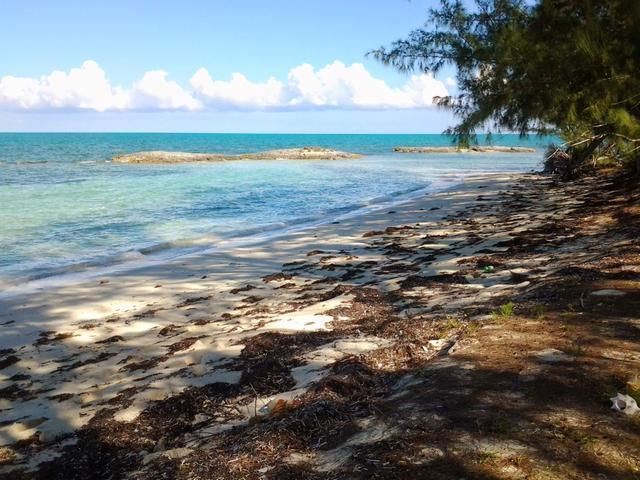 /listing-lots-acreage-in-cargill-creek-40311.html from Coldwell Banker Bahamas Real Estate