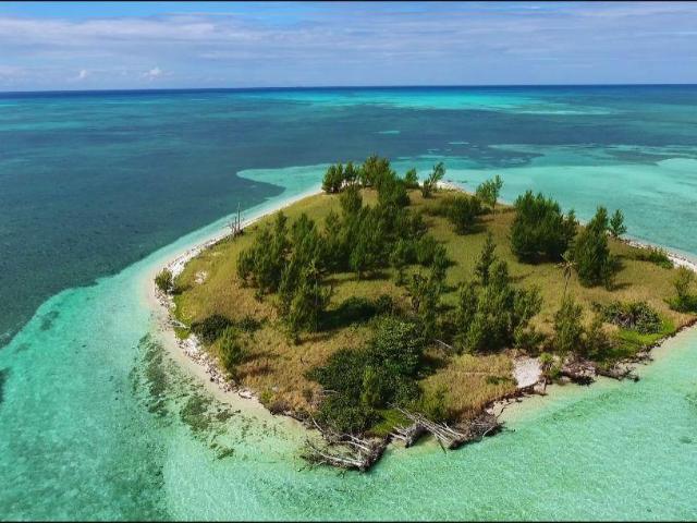 /listing-private-island-in-west-end-45066.html from Coldwell Banker Bahamas Real Estate