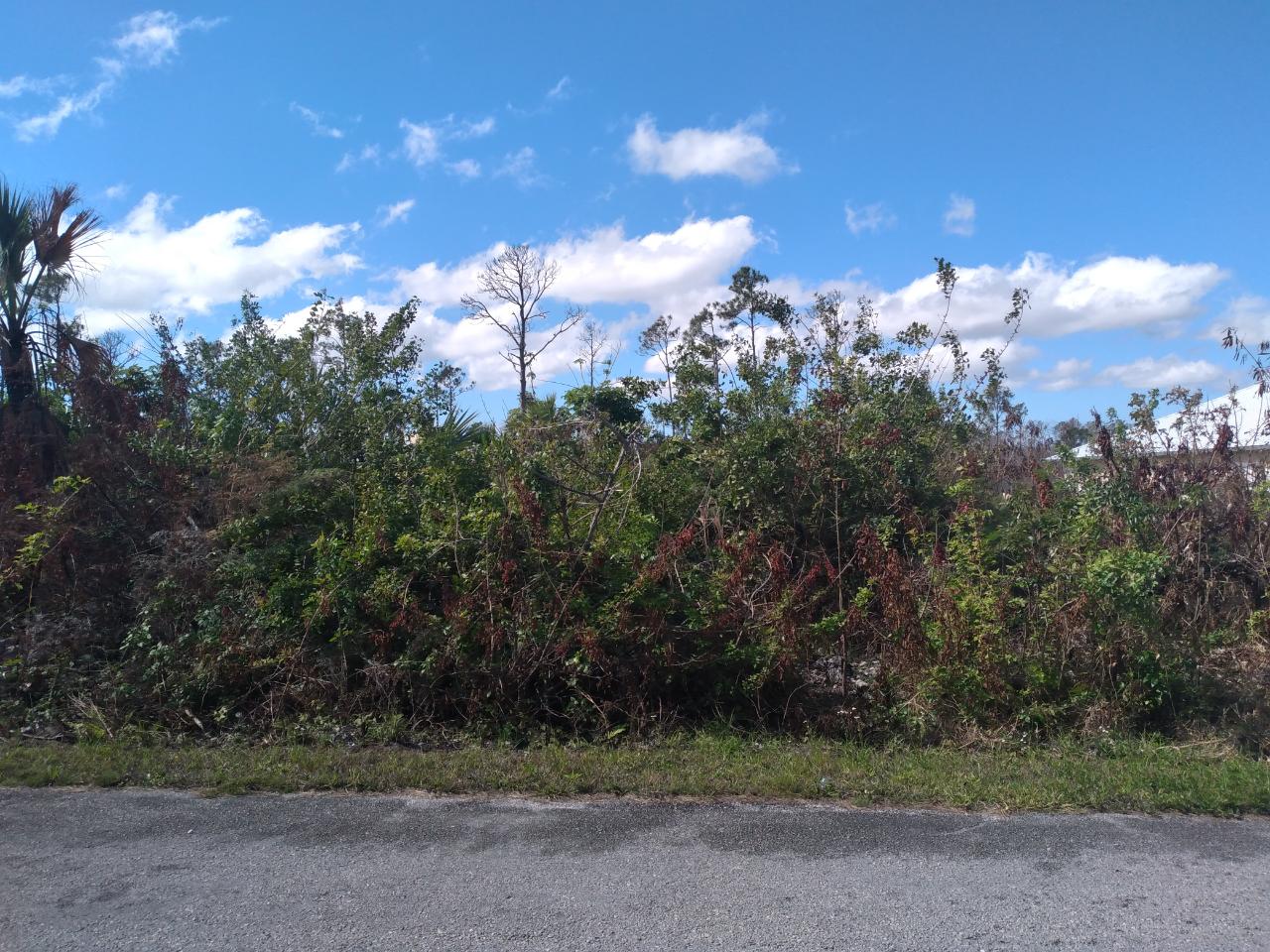 /listing-lots-acreage-in-richmond-park-60093.html from Coldwell Banker Bahamas Real Estate