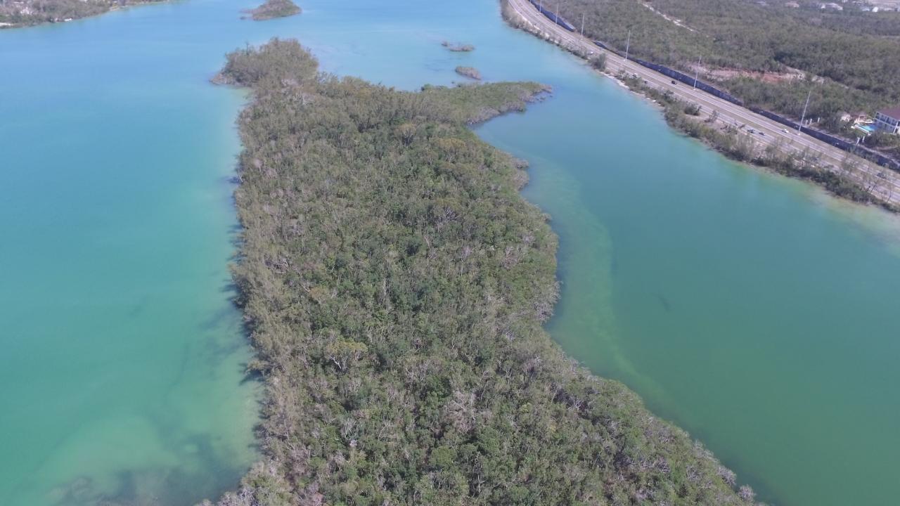 /listing-lots-acreage-in-westridge-77656.html from Coldwell Banker Bahamas Real Estate