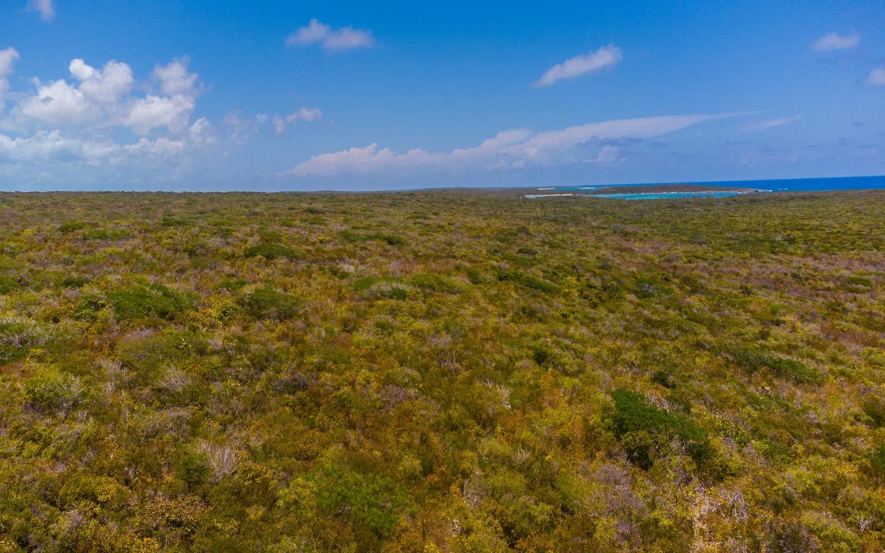 /listing-lots-acreage-in-gordons-37970.html from Coldwell Banker Bahamas Real Estate
