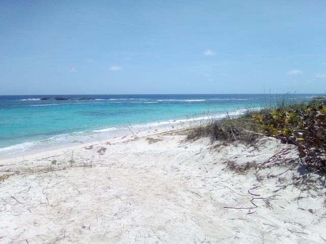 /listing-lots-acreage-in-miley-38291.html from Coldwell Banker Bahamas Real Estate