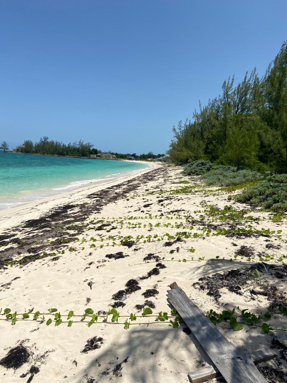 /listing-lots-acreage-in-nicholls-town-43969.html from Coldwell Banker Bahamas Real Estate