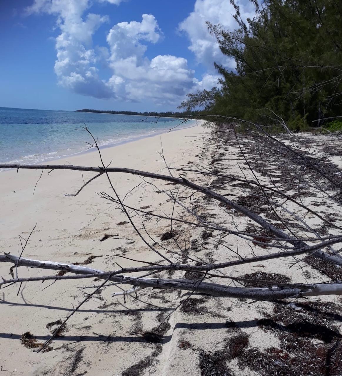 /listing-lots-acreage-in-staniard-creek-39184.html from Coldwell Banker Bahamas Real Estate