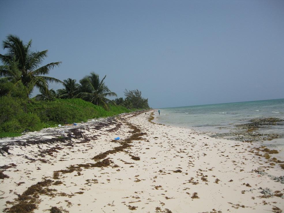 /listing-lots-acreage-in-congo-town-45366.html from Coldwell Banker Bahamas Real Estate