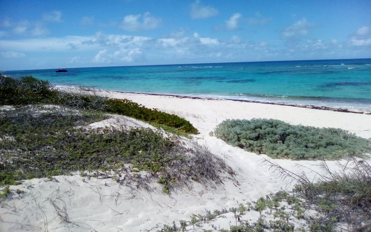 /listing-lots-acreage-in-morrisville-39163.html from Coldwell Banker Bahamas Real Estate