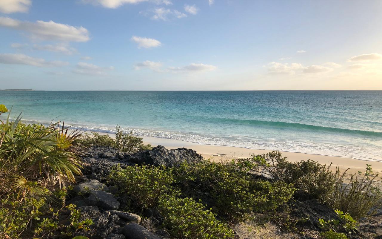 /listing-lots-acreage-in-pigeon-cay-39311.html from Coldwell Banker Bahamas Real Estate