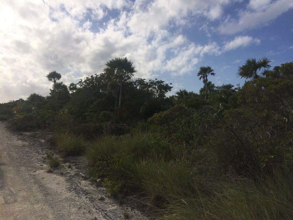 /listing-lots-acreage-in-hawks-nest-41429.html from Coldwell Banker Bahamas Real Estate