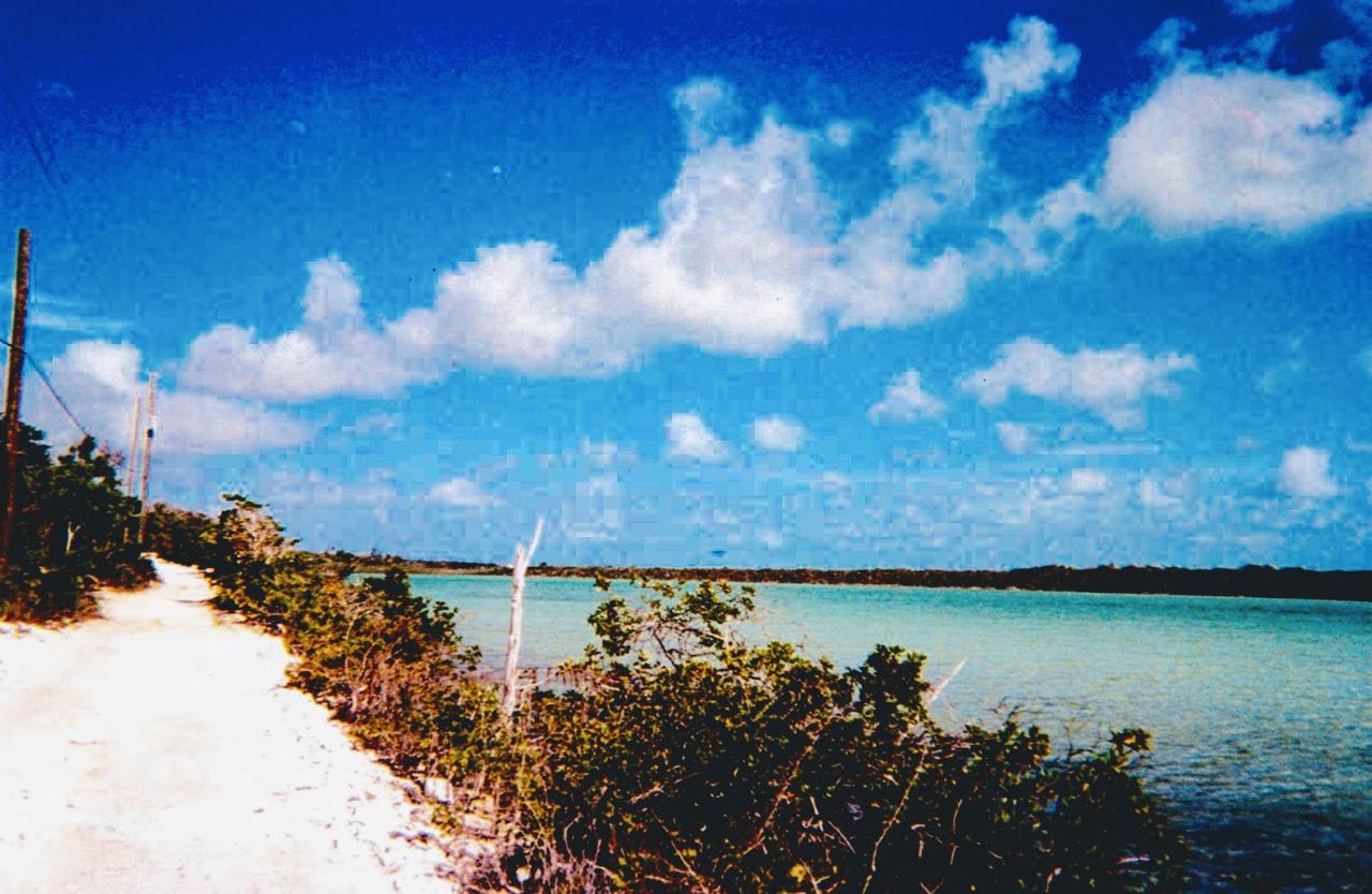 /listing-lots-acreage-in-bain-town-40212.html from Coldwell Banker Bahamas Real Estate