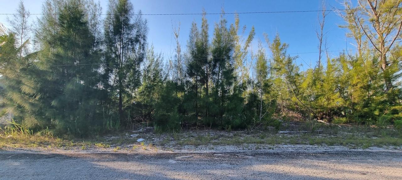 /listing-lots-acreage-in-lincoln-green-48014.html from Coldwell Banker Bahamas Real Estate