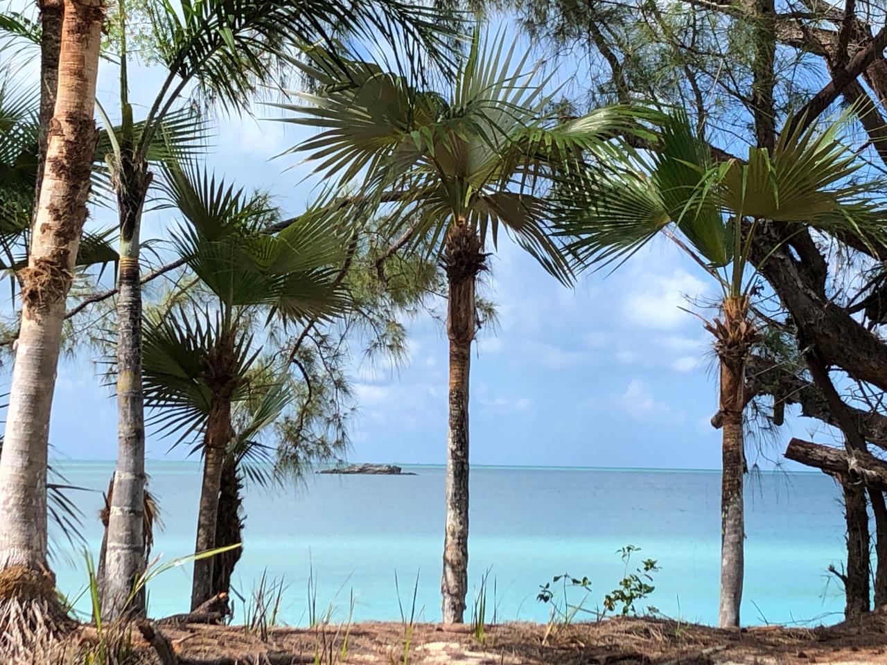 /listing-farm-ranch-in-fernandez-bay-40685.html from Coldwell Banker Bahamas Real Estate