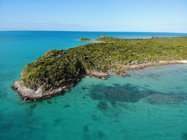 /listing-lots-acreage-in-indian-hole-point-42275.html from Coldwell Banker Bahamas Real Estate