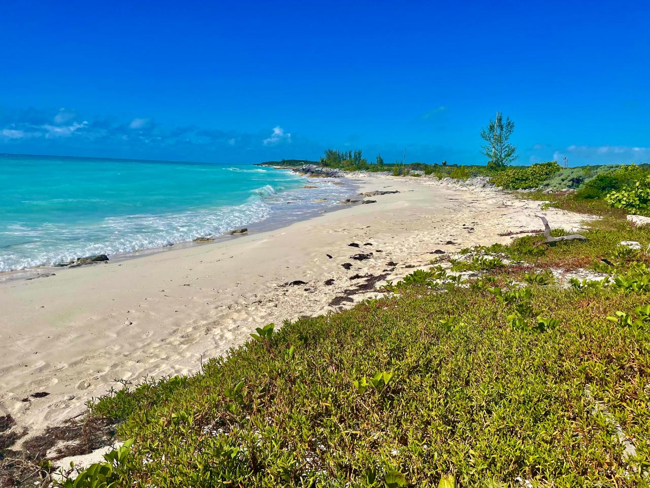 /listing-lots-acreage-in-clarence-town-40864.html from Coldwell Banker Bahamas Real Estate