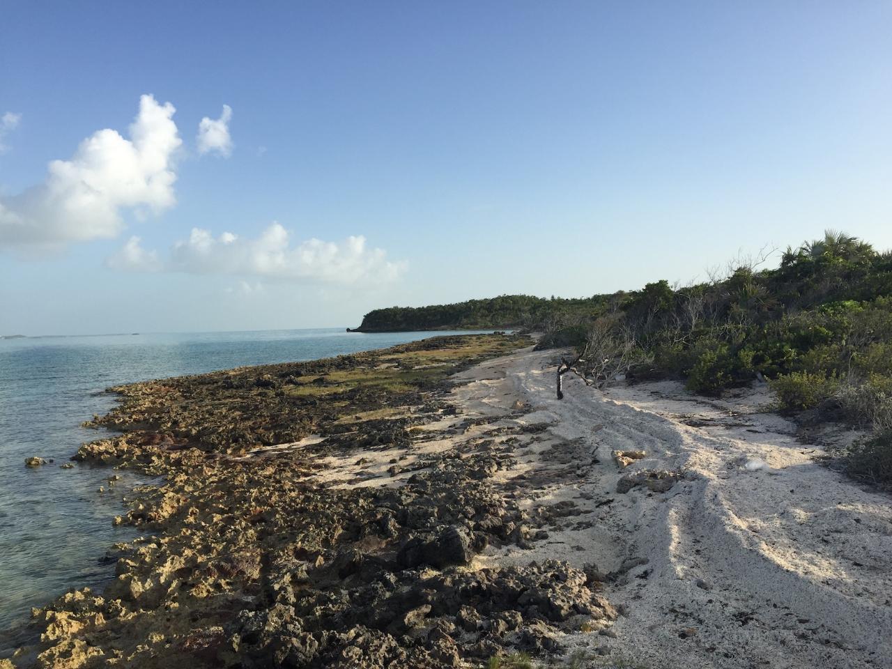 /listing-lots-acreage-in-indian-hole-point-40855.html from Coldwell Banker Bahamas Real Estate