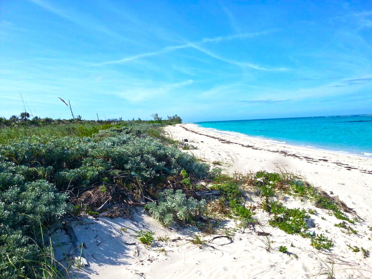 /listing-lots-acreage-in-arthurs-town-59926.html from Coldwell Banker Bahamas Real Estate