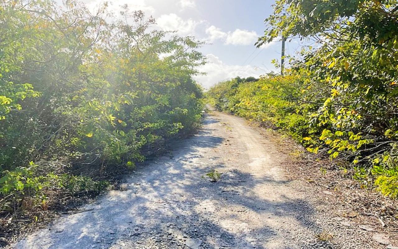 /listing-lots-acreage-in-stella-maris-42262.html from Coldwell Banker Bahamas Real Estate