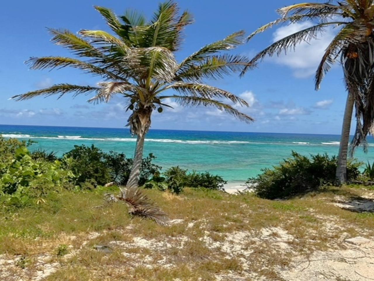 /listing-lots-acreage-in-mckanns-41531.html from Coldwell Banker Bahamas Real Estate